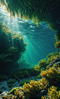 00165-4013012958-instagram photo,Hyperrealism,cinematic,realistic,4K,bright light and shadow,Cinematic light,under water,there is a lot of seawee