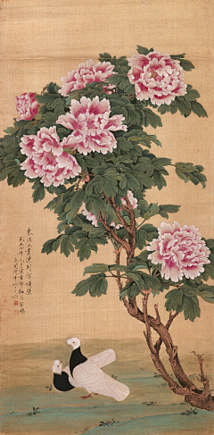 某小某m采集到中国风