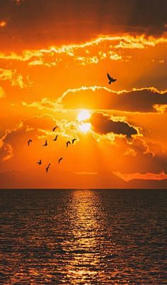 Pinterest
- - - - -...