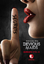 2014《Devious Maids蛇蝎女佣2》创意电影海报设计艺术