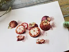 果蔬这一趴暂时结束了，总结一下 | 鹿小柒水彩 - 原创作品 - 涂鸦王国插画