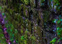 砖,背景,奇幻狂想,墨尔本,插座,砖墙,美,禅宗,水平画幅,冥想