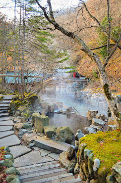 小蜜蜂嗡嗡嗡123采集到旅游