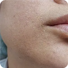 百度识图搜索结果
