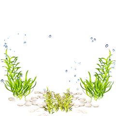 林钟初柒采集到水族参考