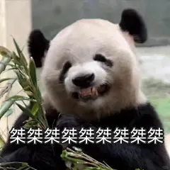 笑容合集|大熊猫表情包 - 小红书