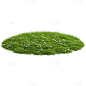 植物系列写实一片草皮草坪元素