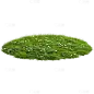植物系列写实一片草皮草坪元素