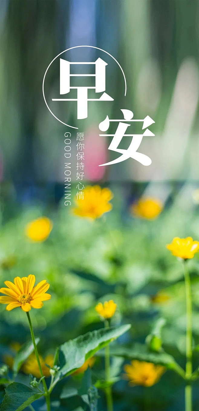 [朋友圈说说] 早安语录正能量句子 : ...