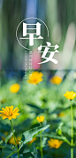 [朋友圈说说] 早安语录正能量句子 : 每日一句早安语录☀ 想要每天收到早安语录、晚安语录，早安图片等正能量励志早安语录吗，需要的点击上面的蓝色字体