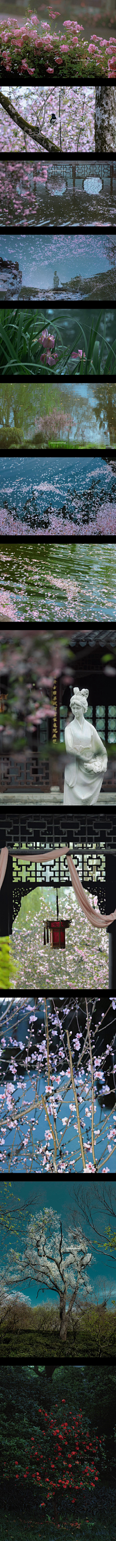 光秃秃的一小枝采集到D-场景摄影