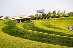 猫の_の猫采集到道路景观
