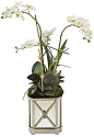 John-Richard Collection 34  Orchid Arrangement in Planter - Faux