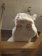 オレは败北を知らない。