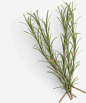 植物模糊手绘绿草_新图网 https://ixintu.com 植物 模糊