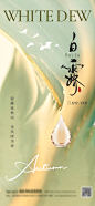 【素材能量站】海报 节气 白露 露水 叶子|1022704 
