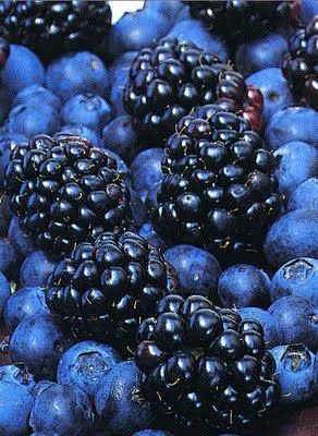 mûres et  cassis