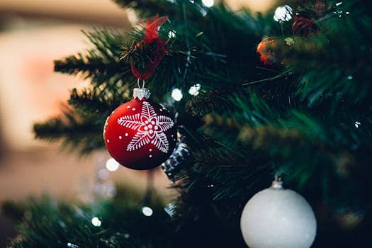 Close-up of Christma...
