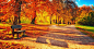 美好秋景，Mac秋意插画，秋景，秋季背景图，秋季枫叶，秋天美景