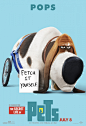 The Secret Life of Pets爱宠大机密 电影海报 文艺圈 展示 设计时代网-Powered by thinkdo3