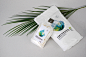 aura herbals - rebranding : Rebranding, packaging design and marketing materials for Aura Herbals – a company offering healthy and natural food products.