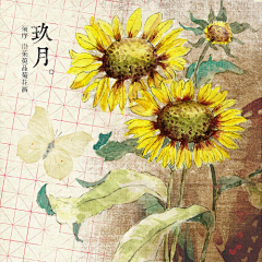 翼年璎珞采集到1-12花卉