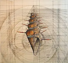 斐波那契数列：震撼心灵的几何美学_百科文章_百度百科