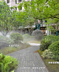 微信截图_20241115104321