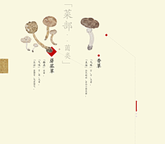 朱力波采集到排版