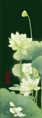 古风  晓泊 