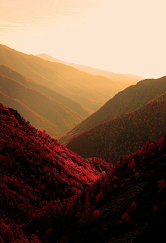 禅静采集到无题杂藏（风景类）