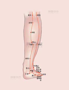 醉梦浮尘采集到医学