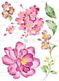 图花集 