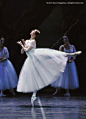 thepointes:

Svetlana Zakharova, “Giselle”, Teatro dell’ Opera di Roma
(c) 2013 Marc Haegeman