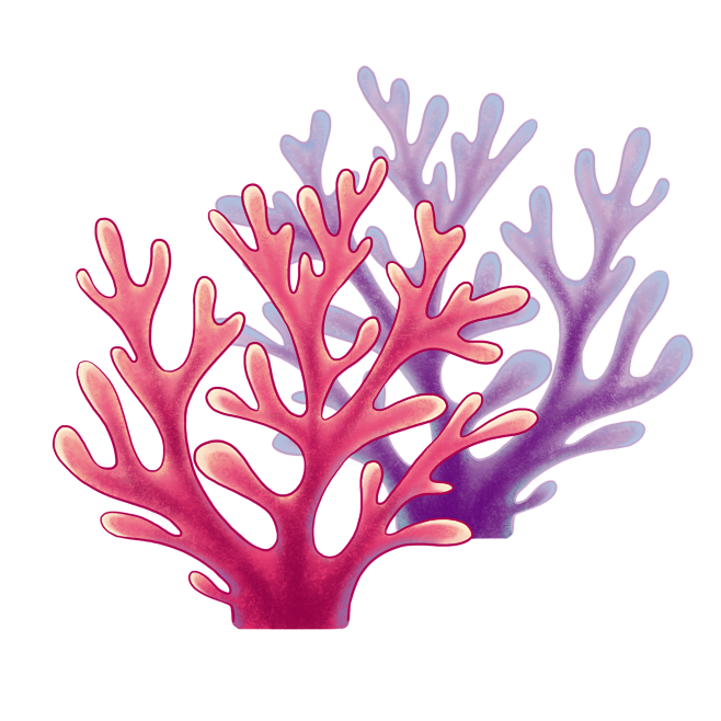 夏天海洋珊瑚粉色