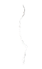 撕边