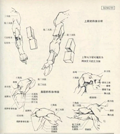 猴开心采集到RT·GGJR