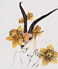【香港Peony Yip插画师富有想象力的插画作品】