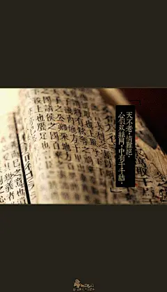 我总是在日暮时分，书影与书影之间，宁静的悲哀里，最想念你。