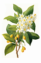 AI数字艺术秋季桂花插画-众图网