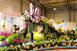 Local orchids scoop awards at French flower expo - Taipei Times