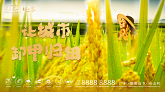 shallshall啥采集到shallshall啥的原创画板