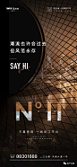 阳光城·天澜道11号广告创意作品 : 【地产全案】独家先发
