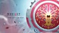 counterplay-games-neutral-crest-wallpaper2-5120x2880.jpg (1920×1080)