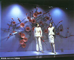 laputa_dy采集到橱窗