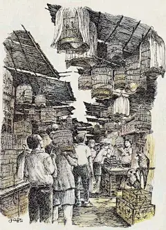 咩咩素材-钢笔针管笔画作 (1245)