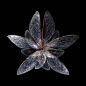 昆虫翅膀组成的花，摄影师 Seb Janiak