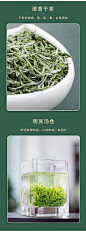 春茶上市文新信阳毛尖绿茶2020新茶茶叶明前特级嫩芽毛尖散装50g-tmall.com天猫