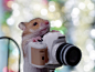 Photograph はい、ポーズ!! by M kun2 on 500px