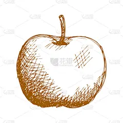 1312. i004.014.s.i004.c10。手绘水果年份